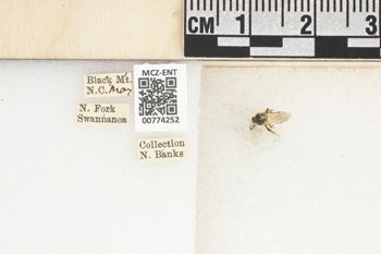 Media type: image;   Entomology 774252 Aspect: Labels
